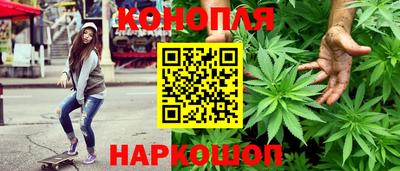 гашик Бузулук