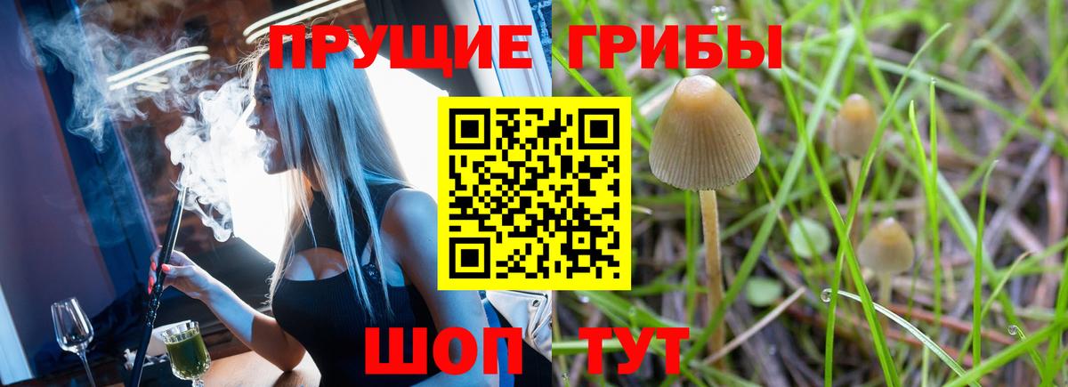 Галлюциногенные грибы Psilocybine cubensis  Вход с VPN  Королёв 